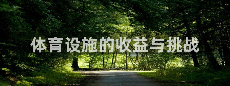 意昂体育3招商电话号码是多少号：体育设施的收益与挑战