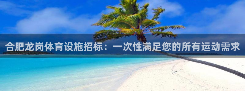 意昂体育3平台APP：合肥龙岗体育设施招标：一次性满