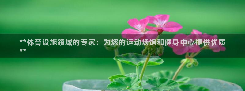 意昂体育3注册：**体育设施领域的专家：为您的运动场