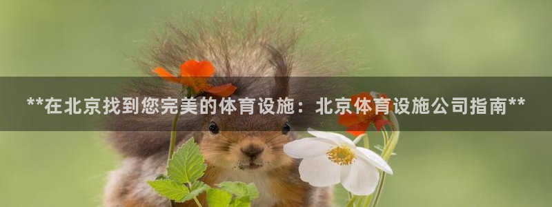 意昂3集团logo：**在北京找到您完美的体育设施：