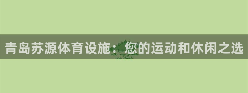 意昂3开户：青岛苏源体育设施：您的运动和休闲之选