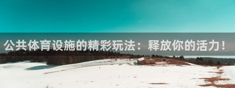 意昂体育3平台注册流程图：公共体育设施的精彩玩法：释