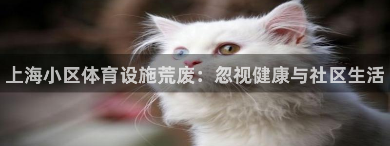 意昂体育3招商电话是多少：上海小区体育设施荒废：忽视