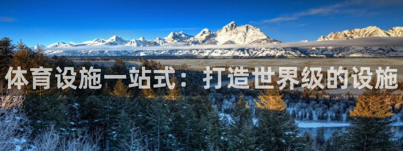 意昂体育3是干嘛的公司：体育设施一站式：打造世界级的