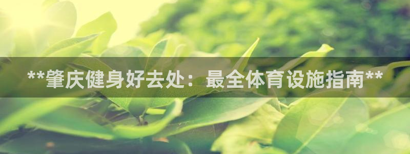 意昂集团官网：**肇庆健身好去处：最全体育设施指南*