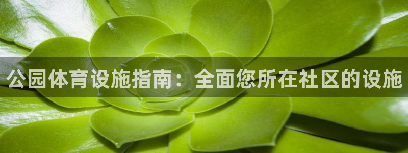 意昂体育3平台注册流程视频：公园体育设施指南：全面您