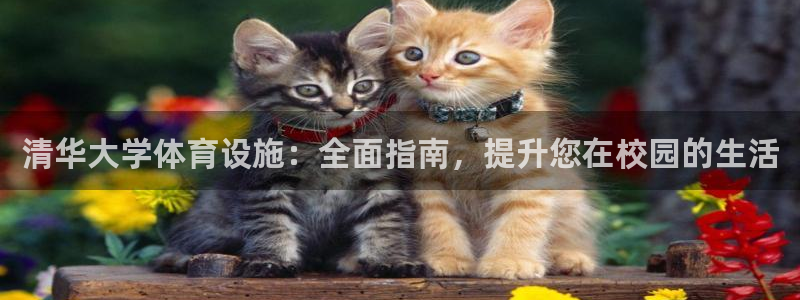 意昂3神州：清华大学体育设施：全面指南，提升您在校园
