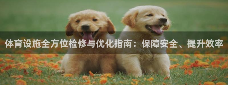 意昂体育3娱乐：体育设施全方位检修与优化指南：保障安
