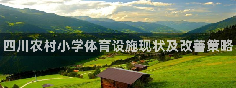 意昂体育3是干嘛的公司：四川农村小学体育设施现状及改