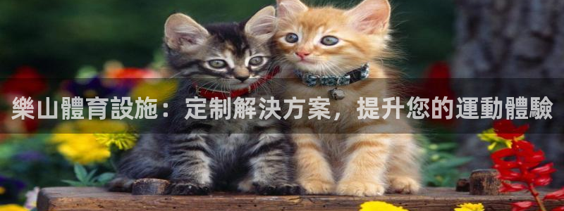 意昂集团官网：樂山體育設施：定制解決方案，提升您的運