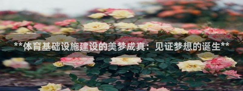 意昂体育3招商电话号码是多少啊：**体育基础设施建设