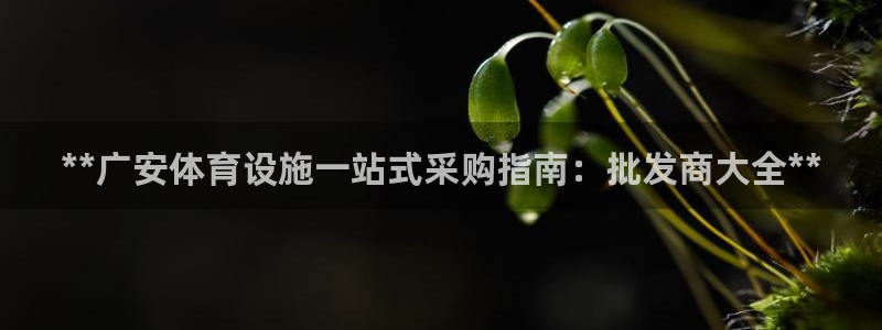 意昂体育3平台注册要钱吗安全吗：**广安体育设施一站