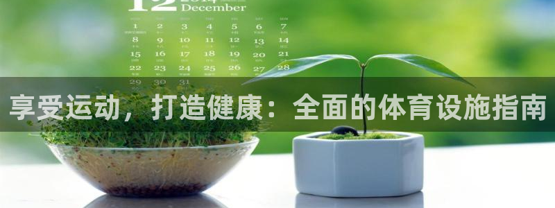 意昂3娱乐：享受运动，打造健康：全面的体育设施指南