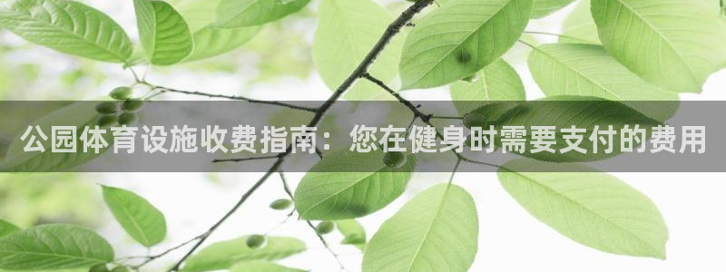 意昂体育3开户：公园体育设施收费指南：您在健身时需要