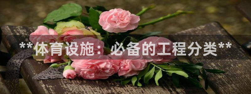 意昂体育3平台假的吗是真的吗吗：**体育设施：必备的