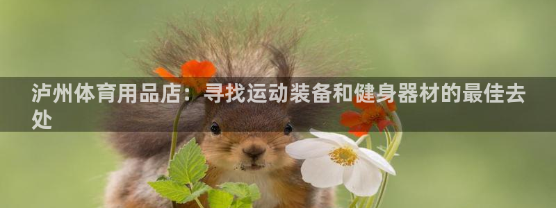 意昂体育3招商电话号码查询：泸州体育用品店：寻找运动