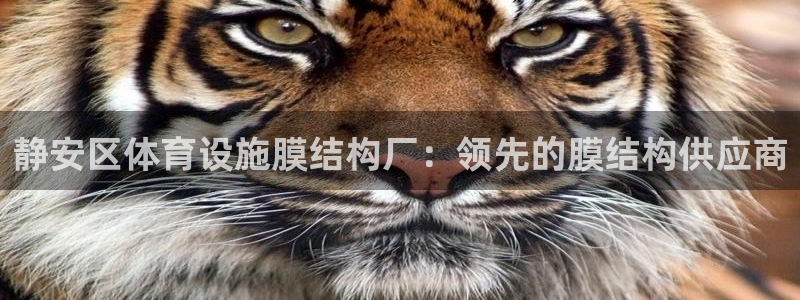 意昂体育3平台注册流程图：静安区体育设施膜结构厂：领
