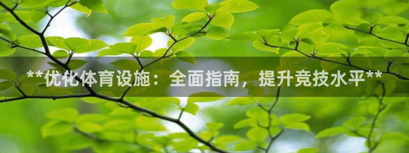意昂3娱乐：**优化体育设施：全面指南，提升竞技水平