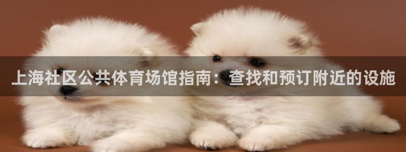 德国意昂3集团：上海社区公共体育场馆指南：查找和预订