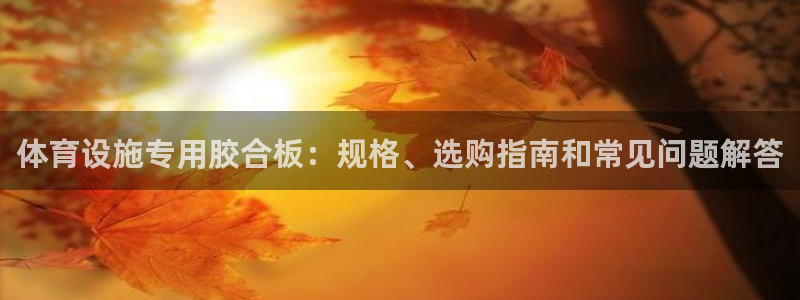 意昂体育3招商：体育设施专用胶合板：规格、选购指南和