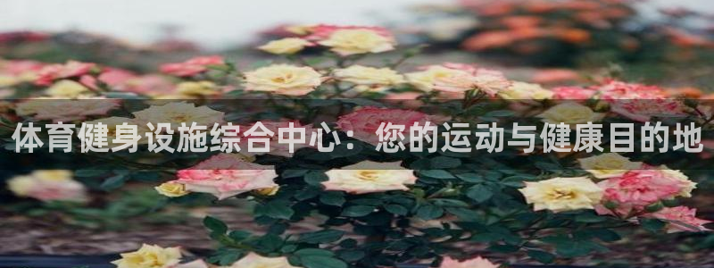 意昂体育3：体育健身设施综合中心：您的运动与健康目的