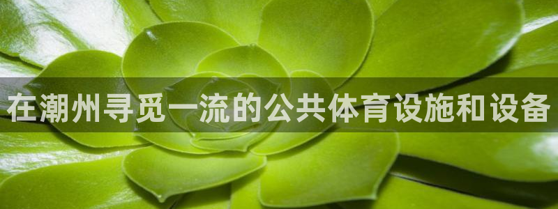 意昂体育3平台注册流程视频：在潮州寻觅一流的公共体育