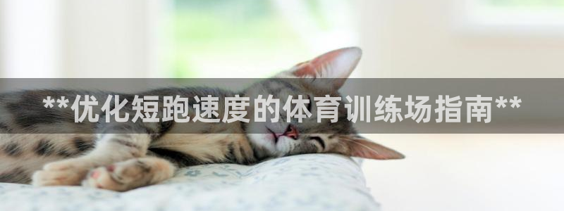 意昂3新能源：**优化短跑速度的体育训练场指南**