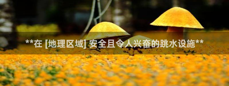 意昂3神州：**在 [地理区域] 安全且令人兴奋的跳