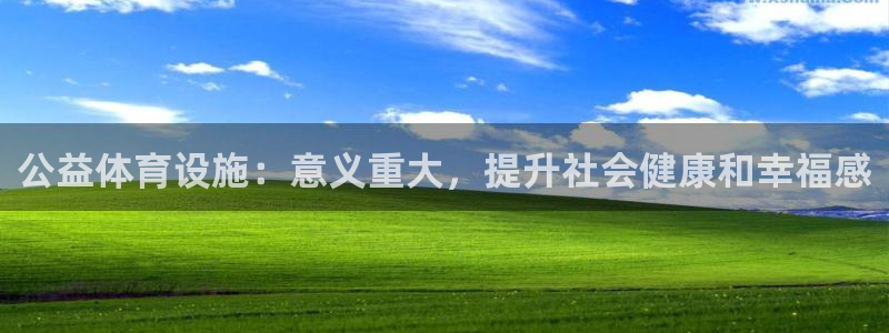 意昂3娱乐代理怎么样：公益体育设施：意义重大，提升社
