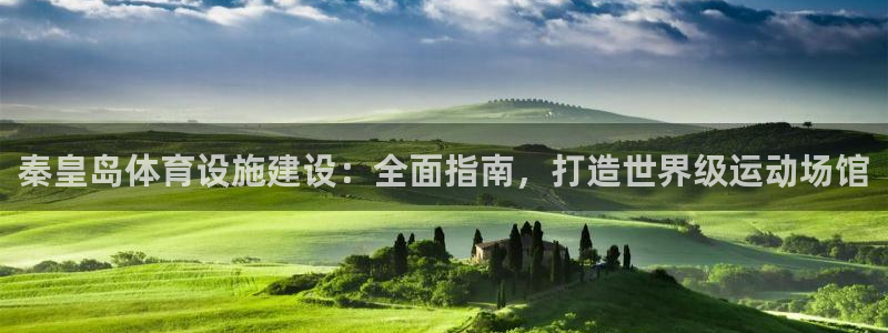 意昂3神州：秦皇岛体育设施建设：全面指南，打造世界级