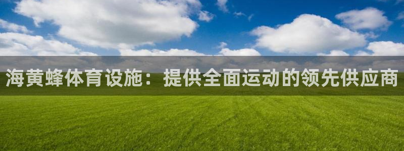 意昂3娱乐网站：海黄蜂体育设施：提供全面运动的领先供