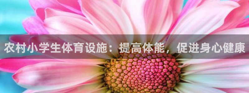 意昂体育3招商电话号码：农村小学生体育设施：提高体能