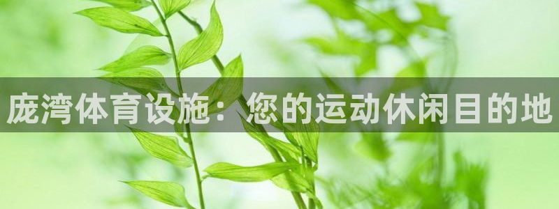 意昂体育3注册：庞湾体育设施：您的运动休闲目的地