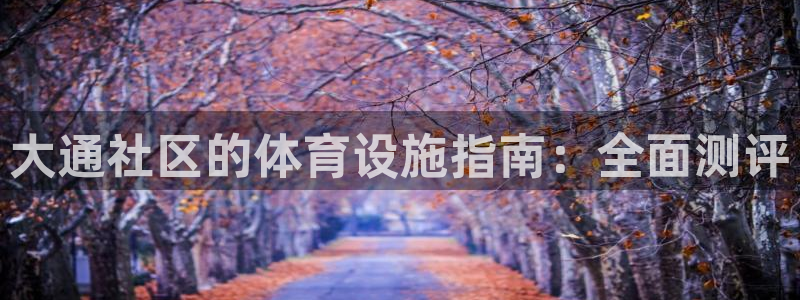 意昂体育3娱乐：大通社区的体育设施指南：全面测评