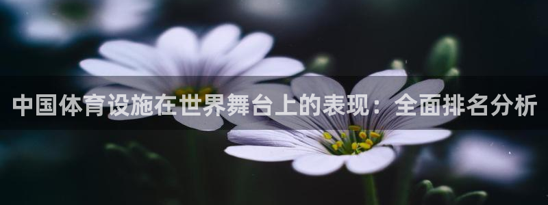 意昂3娱乐下载：中国体育设施在世界舞台上的表现：全面