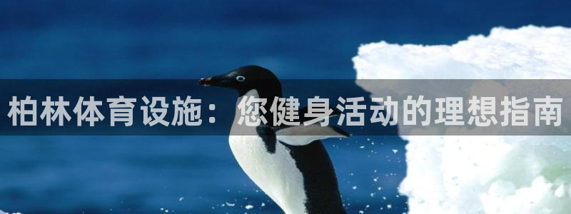 意昂体育3平台注册流程图：柏林体育设施：您健身活动的