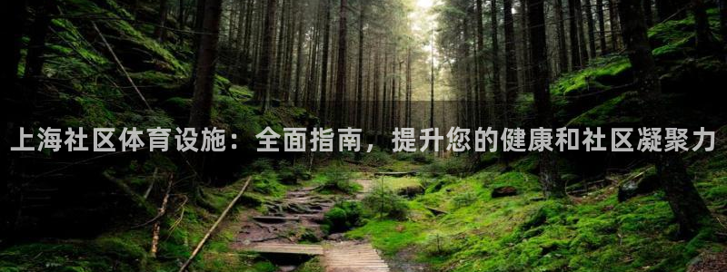 意昂3娱乐下载：上海社区体育设施：全面指南，提升您的