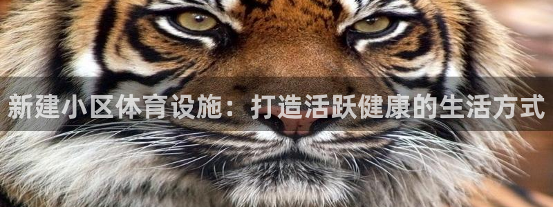 意昂3娱乐平台：新建小区体育设施：打造活跃健康的生活