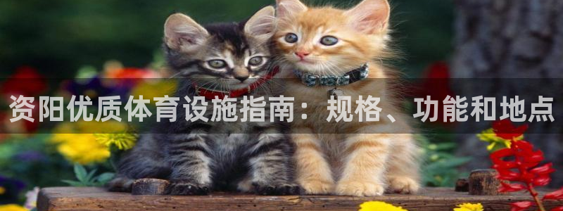 德国意昂3集团：资阳优质体育设施指南：规格、功能和地
