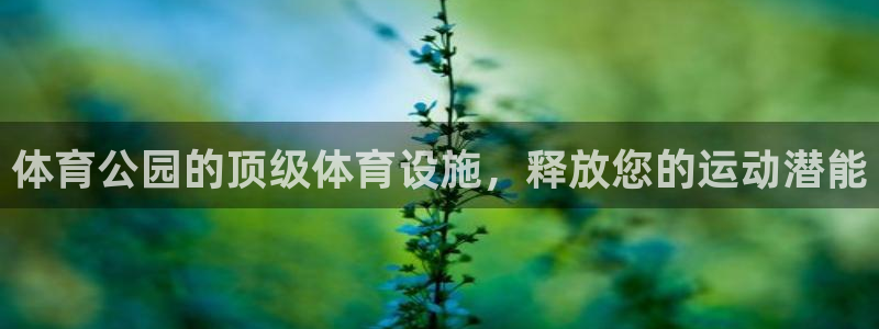 意昂体育3平台假的吗是真的吗吗：体育公园的顶级体育设