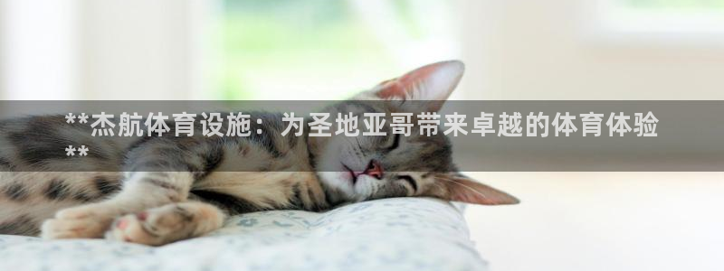 意昂平台体育：**杰航体育设施：为圣地亚哥带来卓越的
