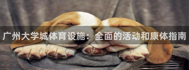 意昂体育3招商电话号码查询是多少：广州大学城体育设施