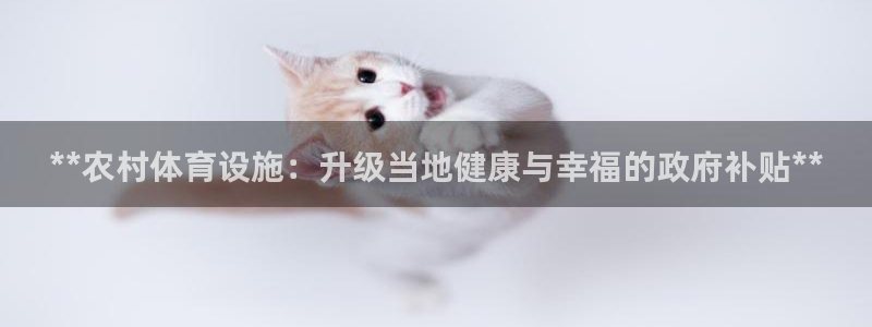 意昂3开户：**农村体育设施：升级当地健康与幸福的政