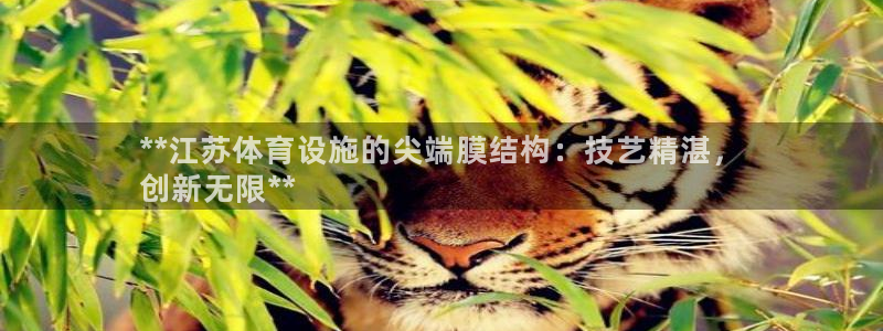 意昂体育3招商电话是多少啊：**江苏体育设施的尖端膜