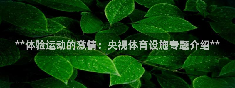 意昂体育3平台注册要钱吗：**体验运动的激情：央视体