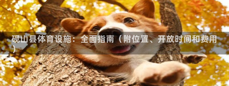 意昂体育3开户：砚山县体育设施：全面指南（附位置、开