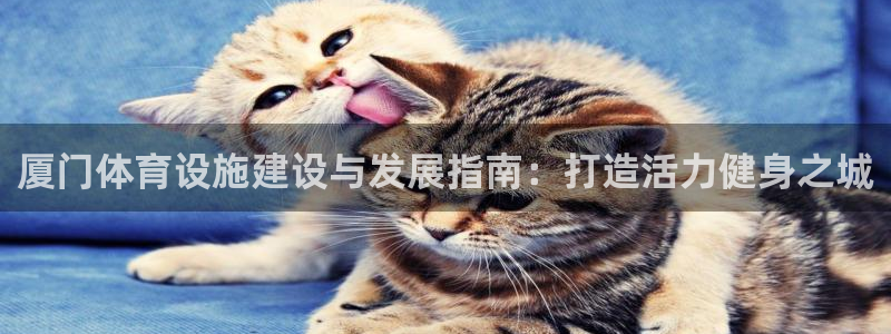 意昂集团官网：厦门体育设施建设与发展指南：打造活力健