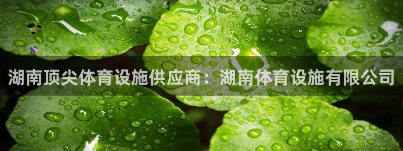 意昂体育3平台APP：湖南顶尖体育设施供应商：湖南体