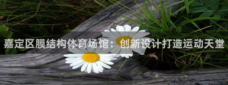 意昂3娱乐平台：嘉定区膜结构体育场馆：创新设计打造运