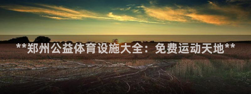 意昂3娱乐是那个系列的台子：**郑州公益体育设施大全